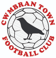 Load image into Gallery viewer, Cwmbran Town Block Colour Adults Tech Tee with Club Logo