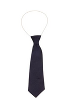 Load image into Gallery viewer, Clare House School Tie
