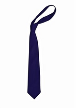 Load image into Gallery viewer, Clare House School Tie
